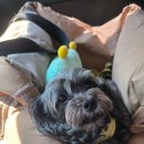 아름다운날 쉼 이미지