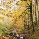 관계(關係)의공존( 이미지