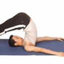 요가체조 이미지