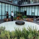 꿈꾸는 정원 이미지