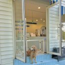 내서읍1353 이미지