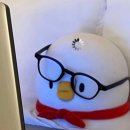 목포쌈밥 이미지