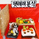 애견카페 애견유치원 펫레터 이미지