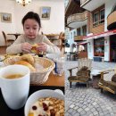 파도의숨결 | 🌷프레디 머큐리가 사랑한 도시, 몽트뢰 - 튤립과 바람 그리고 봄의 숨결