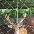 광개토농장 이미지