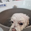 오도독뽀도독 이미지