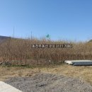 구산면600 이미지