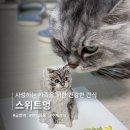 (11/26)반려동물 수제간식 멍치킨 | [스위트멍] 반려동물 알러지 프리 수제 간식, 케이크 | 입체 펫케이크 | 강아지 생일 케이크 추천