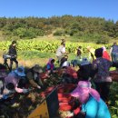 달빛농장 이미지