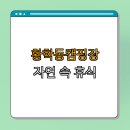 황학동캠핑장 이미지