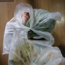 별빛달빛펜션 이미지