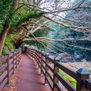 안덕면 감산리 재활용 도움센터 이미지