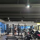 도원 휘트니스 | 김해 헬스장 도원휘트니스 후기 – 주촌 헬스장, 김해 피티, 김해여자트레이너 경험담