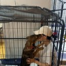 한아름 쉼터 이미지