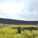 만덕로 | 🍊뚜벅뚜벅, 제주에서 보낸 2박 3일