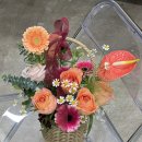 칠성시장역 | [대구역꽃바구니] 미니바구니 스몰바구니 대구역꽃집 칠성시장역꽃집 빈꼬옷