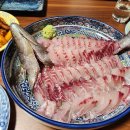 이선장 민박 | 대마도 낚시 선상 갯바위 3박4일 후기｜마도삼촌 민박패키지 직접 다녀온 솔직 후기