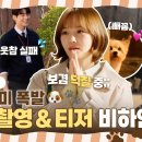 [오늘도 사랑스럽개] 차ㅇㅇX박규영X이ㅎㅇ 멍뭉미🐶 폭발하는 첫 촬영 현장 대공개! (ft. 개나도 왔어요🐾) 이미지