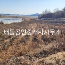호동리 네이버블로그