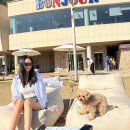 서울 근교 애견동반 카페 봉주르 팔당