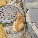 소담베이커리 이미지