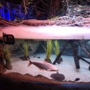 타이밍  포토 | 부산 씨라이프 아쿠아리움 예매 할인 주차 펭귄 포토패키지 방문 후기