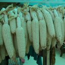 이른아침민박 이미지