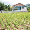 경부농장 이미지