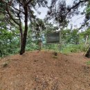 만세교리 태봉 이미지