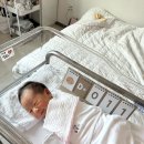 주엽역 사랑애조리원 2주후기 [PART2]