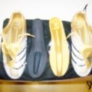 엡솔루트 이미지