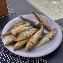 포르투갈 포르투(3): 포르투에서 바다 가기, 팔메이라 해변, 마토지뉴스 해변, 수영장, 맛집 추천