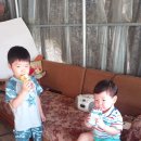 영란농장 이미지