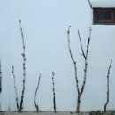 객리단길 이미지