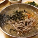 콧등치기