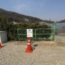 룰루네 | 파주 룰루목장 감자캐기 계란훔치기 후기