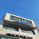 라엘헤어필 | 동작크리닉전문점 끊어진머리도 기르면서 복구하자 라엘헤어필