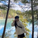 쉘비치 | 2년째 입는 스투시 비치쉘 웨이브 다이 실착 후기｜간절기 바람막이 추천 &amp; 사이즈 팁