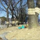 물레방아영양탕 이미지