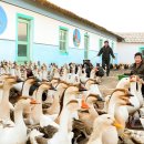 증산농장 이미지