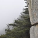 마천면사무소 이미지