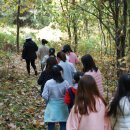 초등 감성미술 이미지