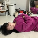 “ 퀸 ” 의 명절나기