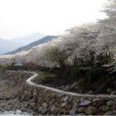 화개119지역대 이미지