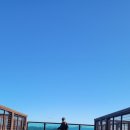 금학산 | 강원 철원 금학산 등산후기