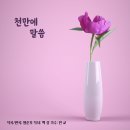 민교 - 천만에 말씀 이미지