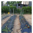 가현농장 이미지