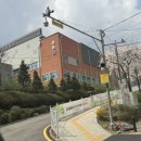 궁내중학교 앞 이미지