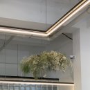 카페페트로스 이미지