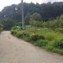 녹지농장 이미지